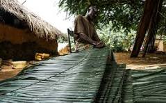 Making thatched roof