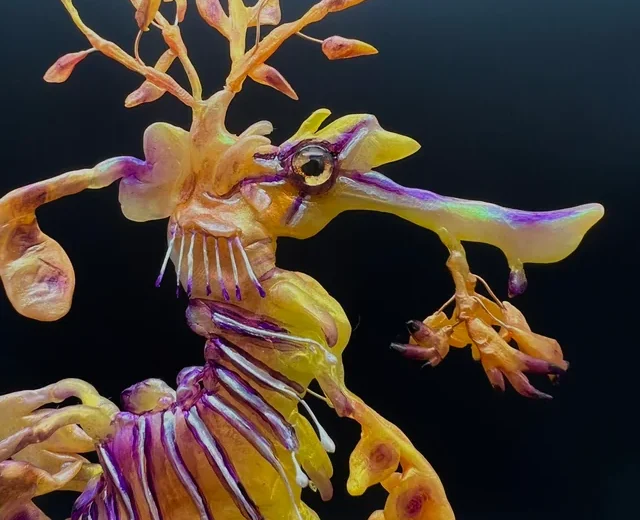 Up close image of the leafy sea dragon