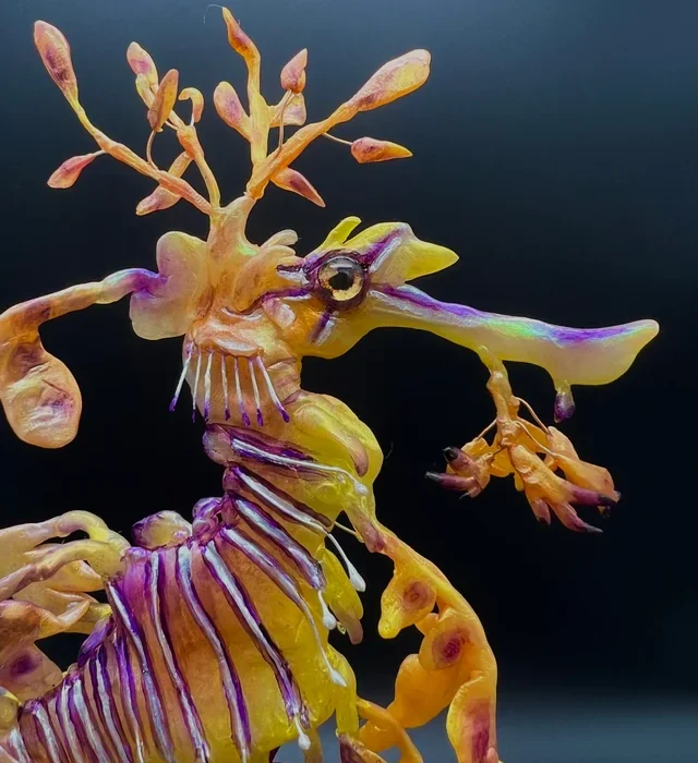 Up close image of the leafy sea dragon