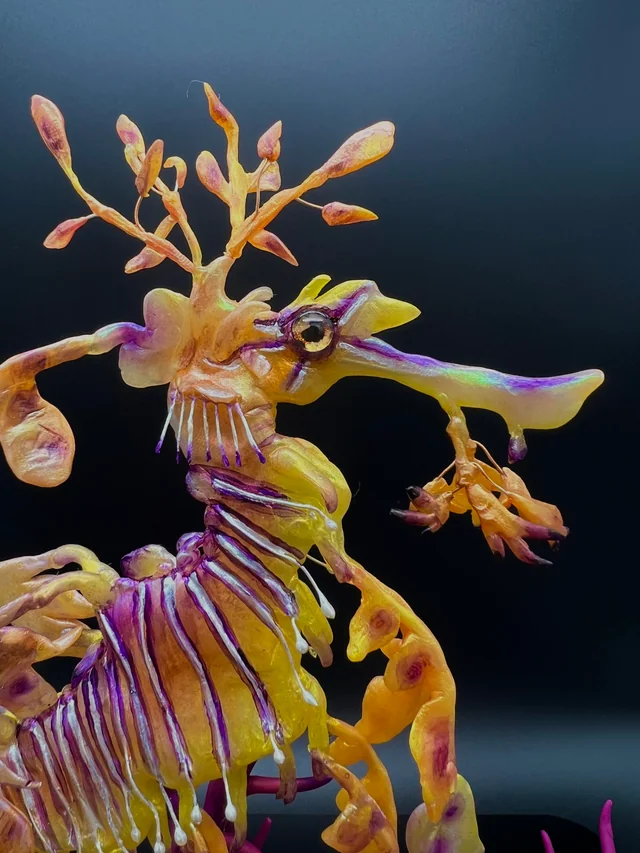 Up close image of the leafy sea dragon