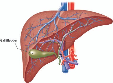 A picture of Liver-damage