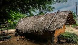 Thatched roofs